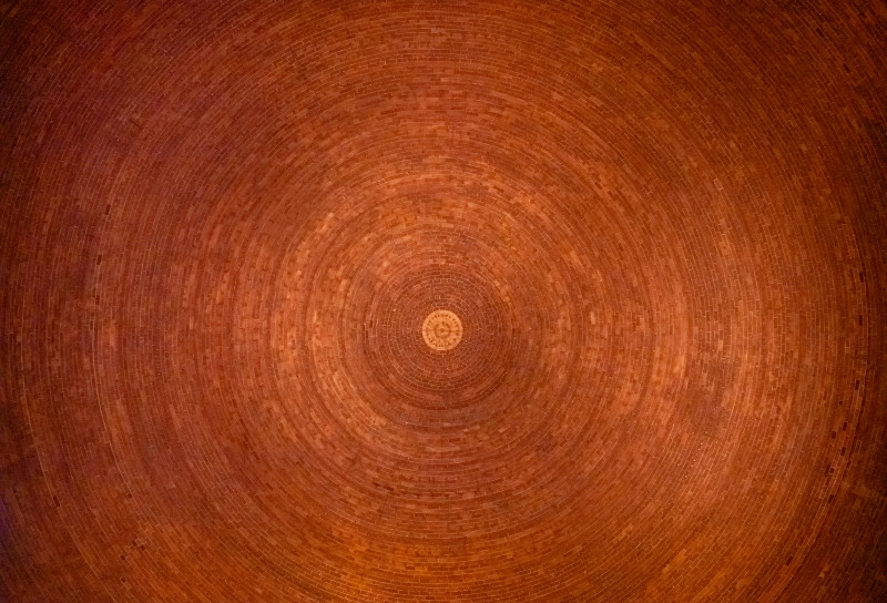 Tree rings